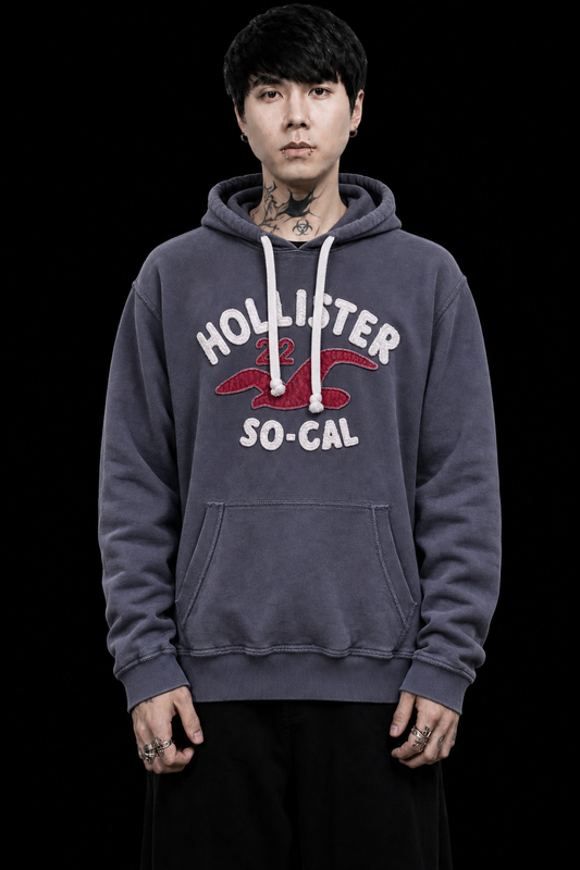 Hollister Hoodie