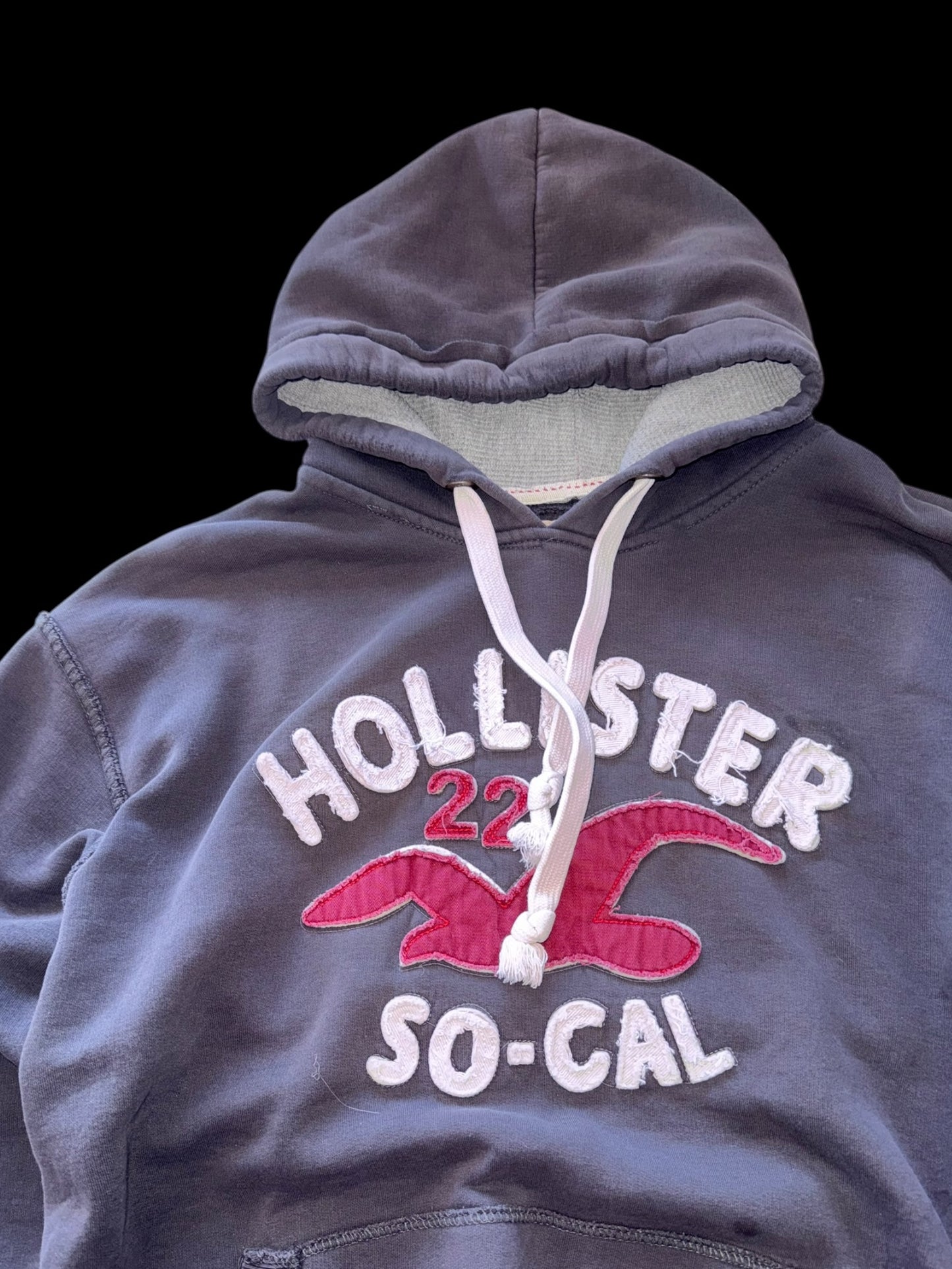Hollister Hoodie